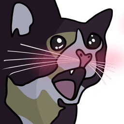 A cat