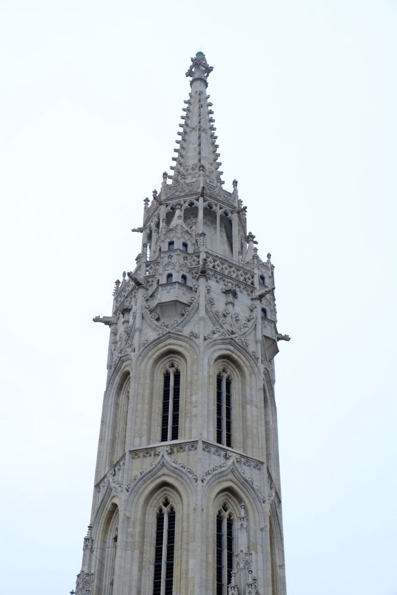 DSCF8206