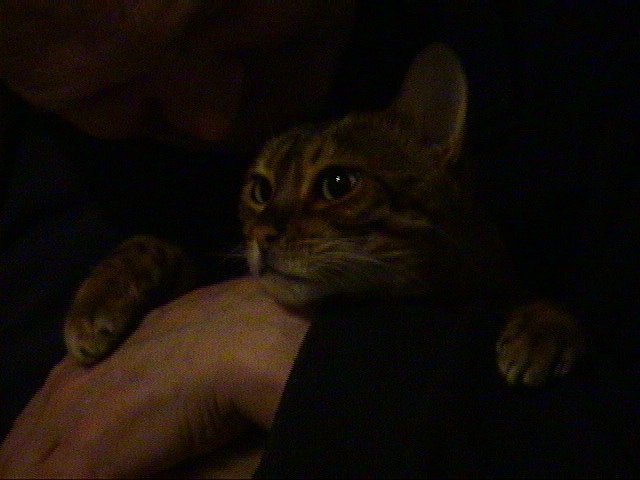 DSC00087