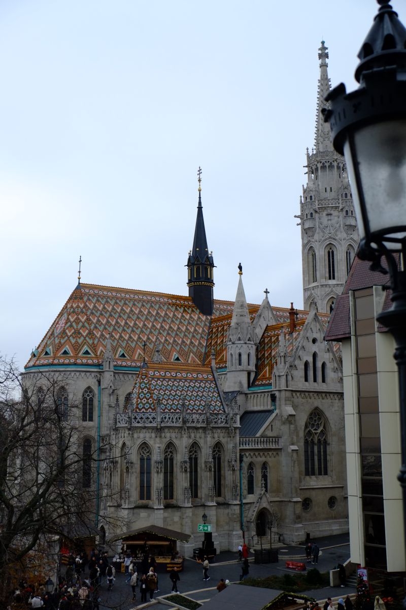 DSCF8223