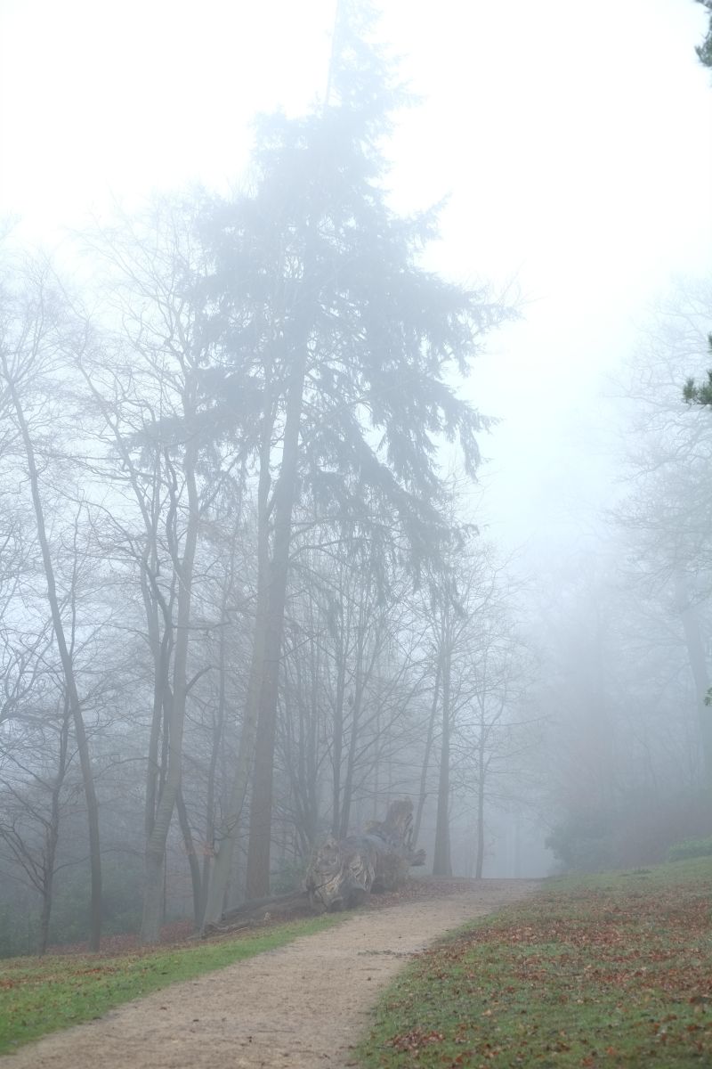 DSCF7310