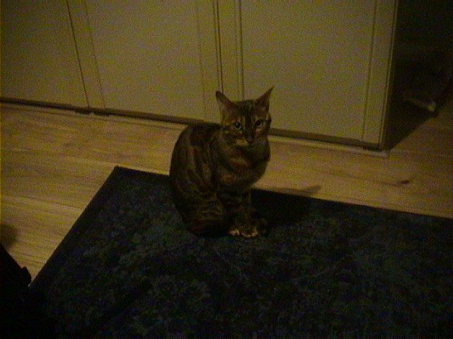 DSC00075