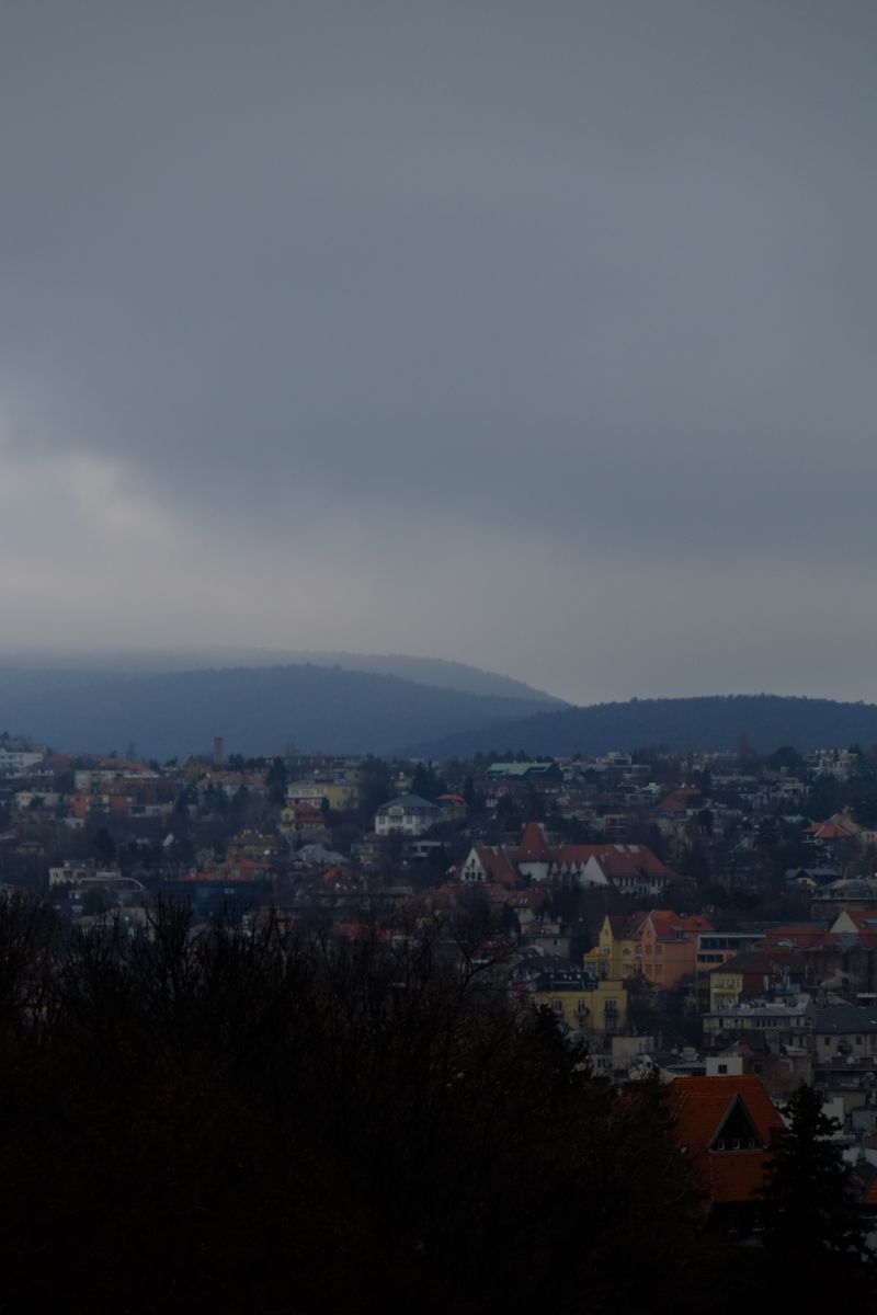 DSCF8219