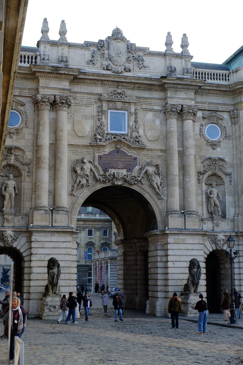 DSCF8319