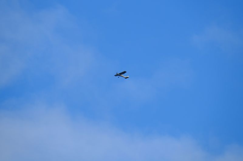 DSCF7811