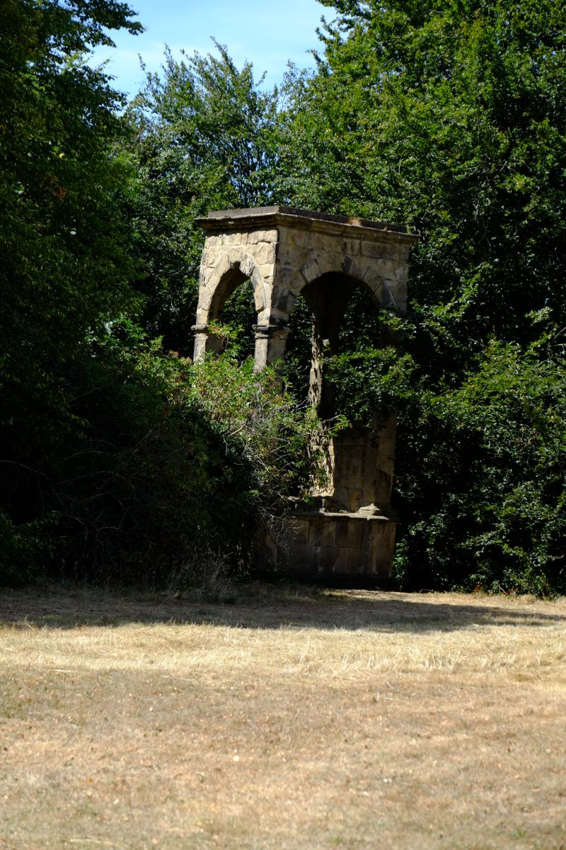 DSCF8537