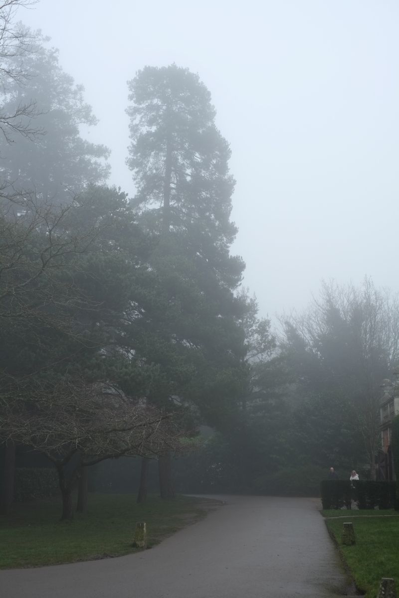 DSCF7242