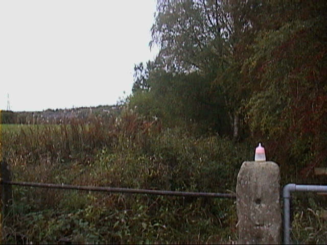DSC00042