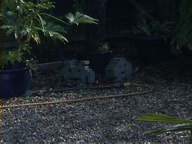DSC00071