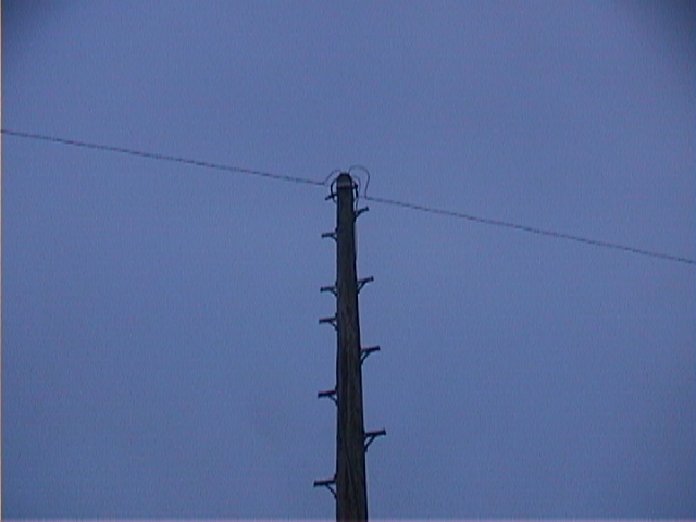 DSC00030