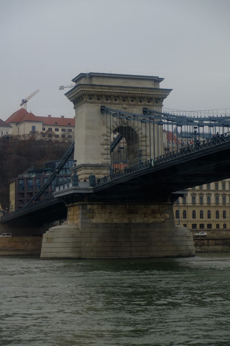 DSCF8378