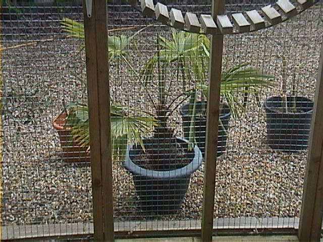 DSC00105