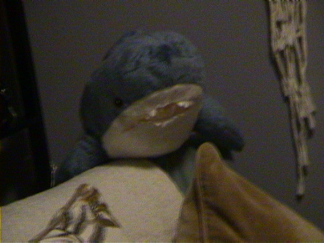 DSC00026