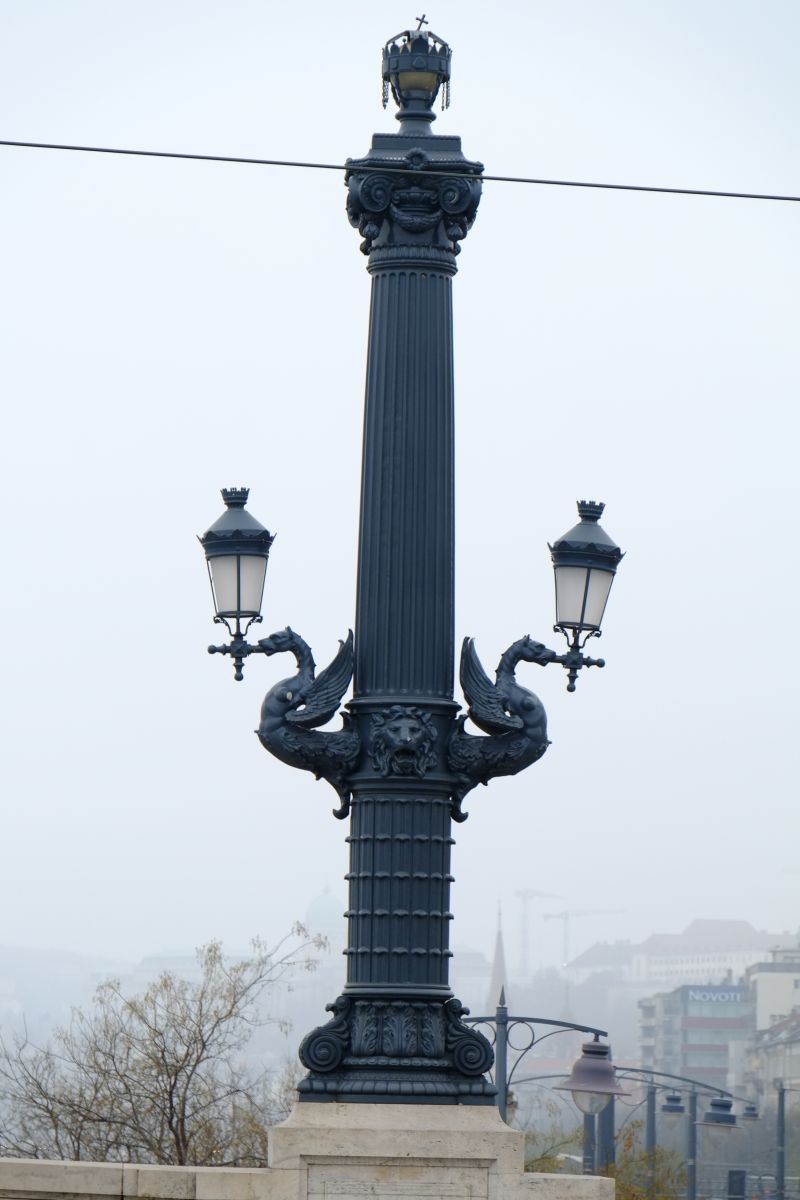 DSCF7942
