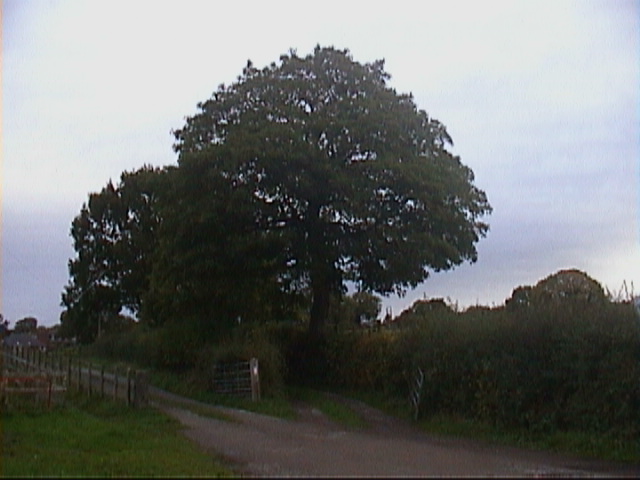 DSC00027