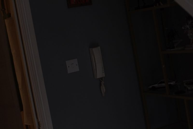 DSCF6828