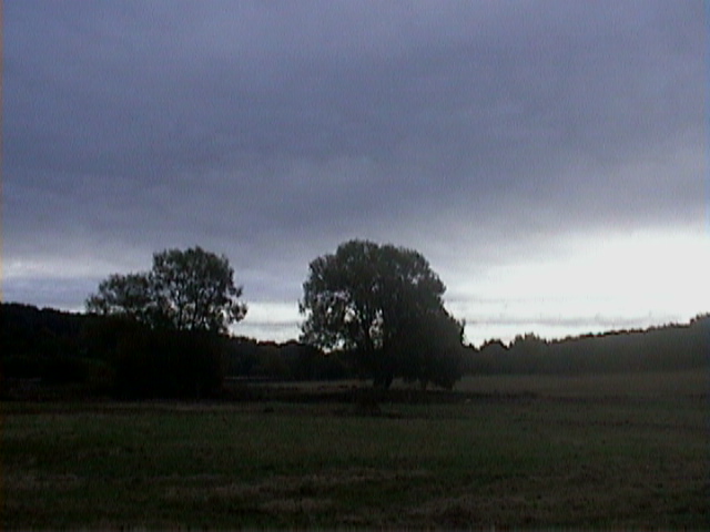 DSC00041