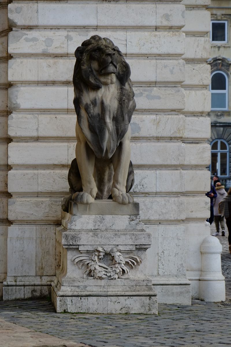 DSCF8322