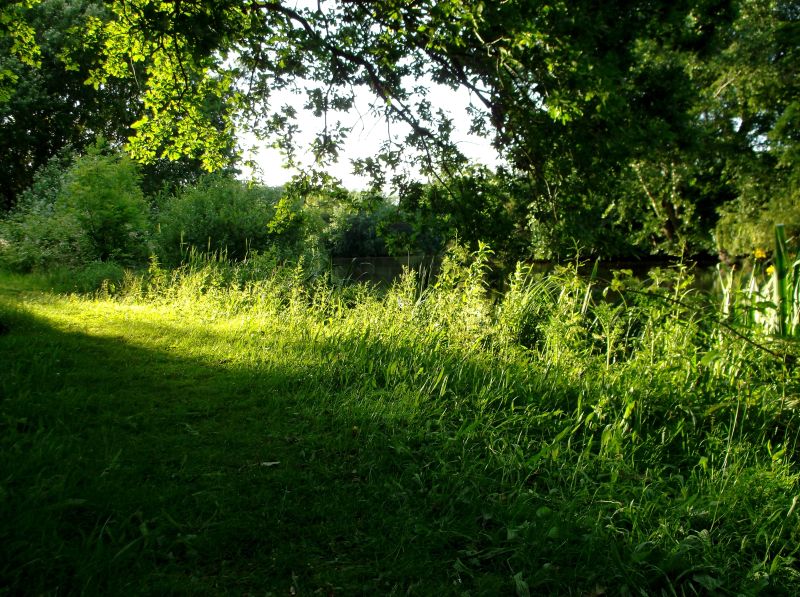 DSCF0540