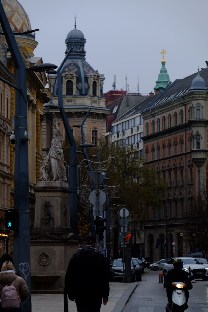DSCF8442