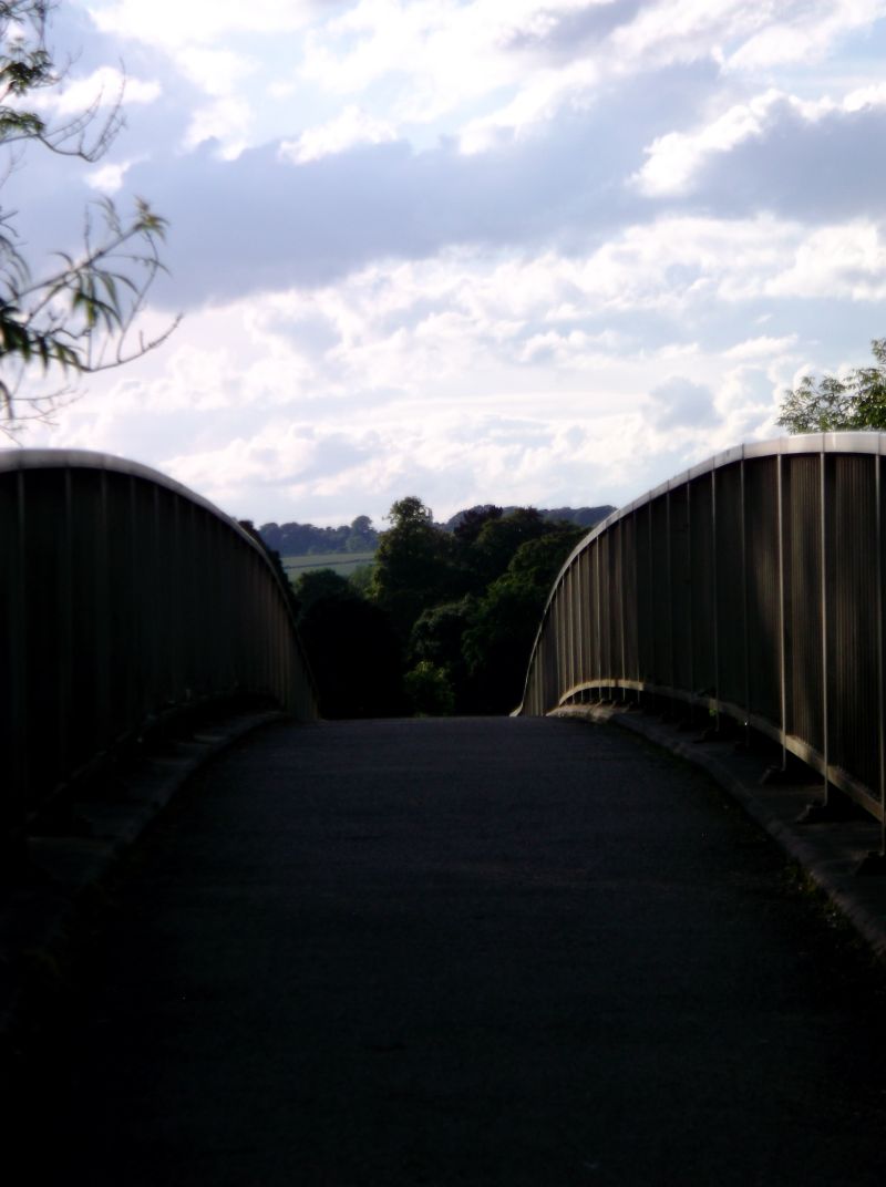 DSCF0523