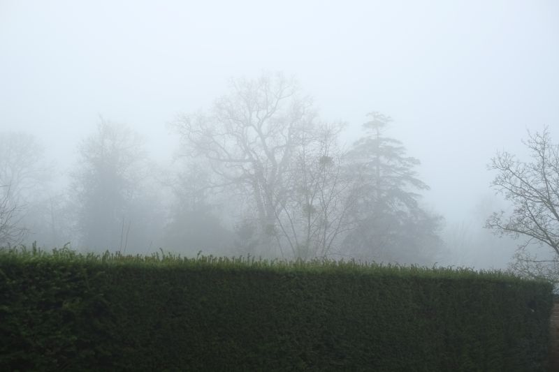 DSCF7195
