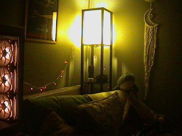 DSC00029