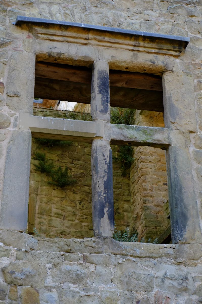 DSCF8558