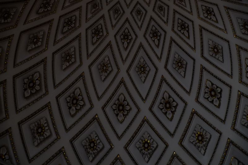 DSCF7833