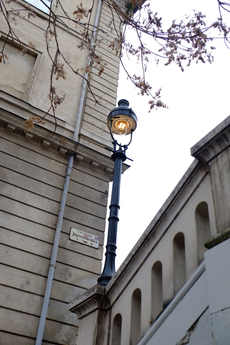 DSCF7881