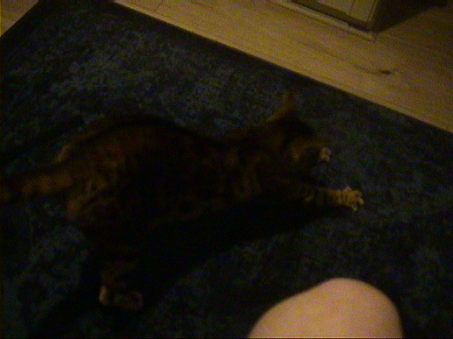 DSC00081