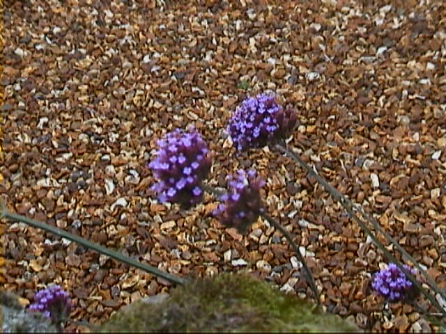 DSC00028