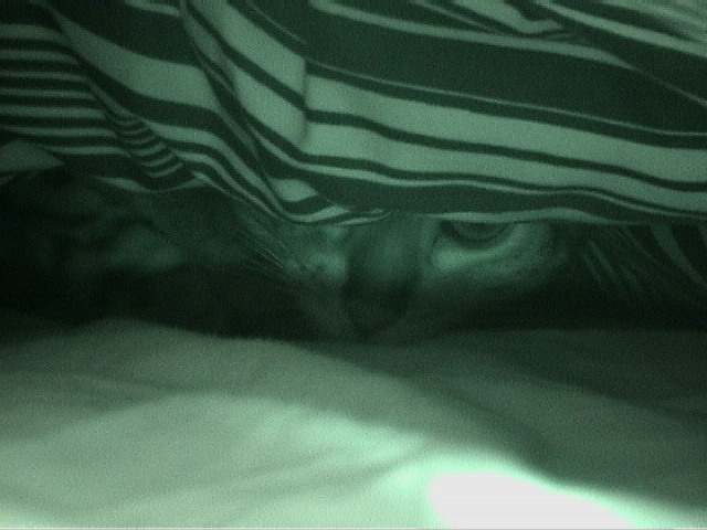 DSC00049