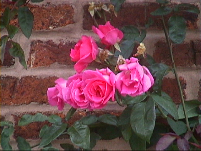 DSC00029