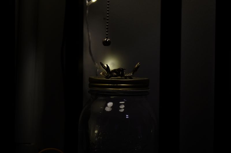 DSCF7543