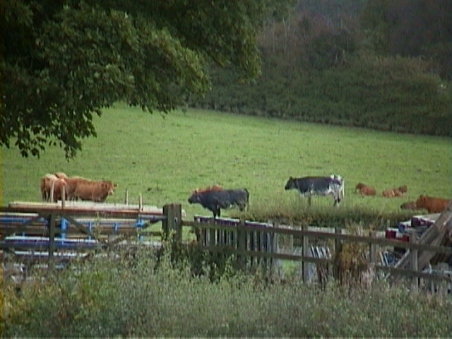 DSC00037