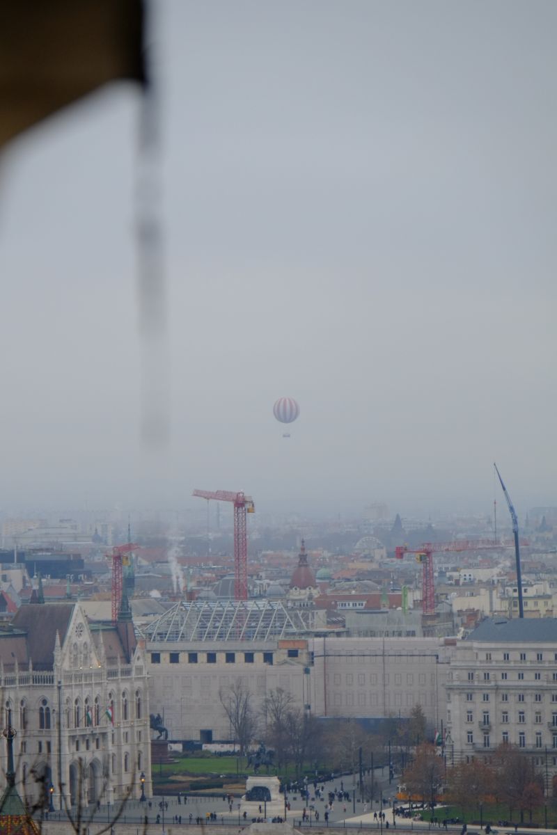 DSCF8227