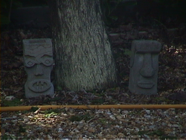 DSC00091