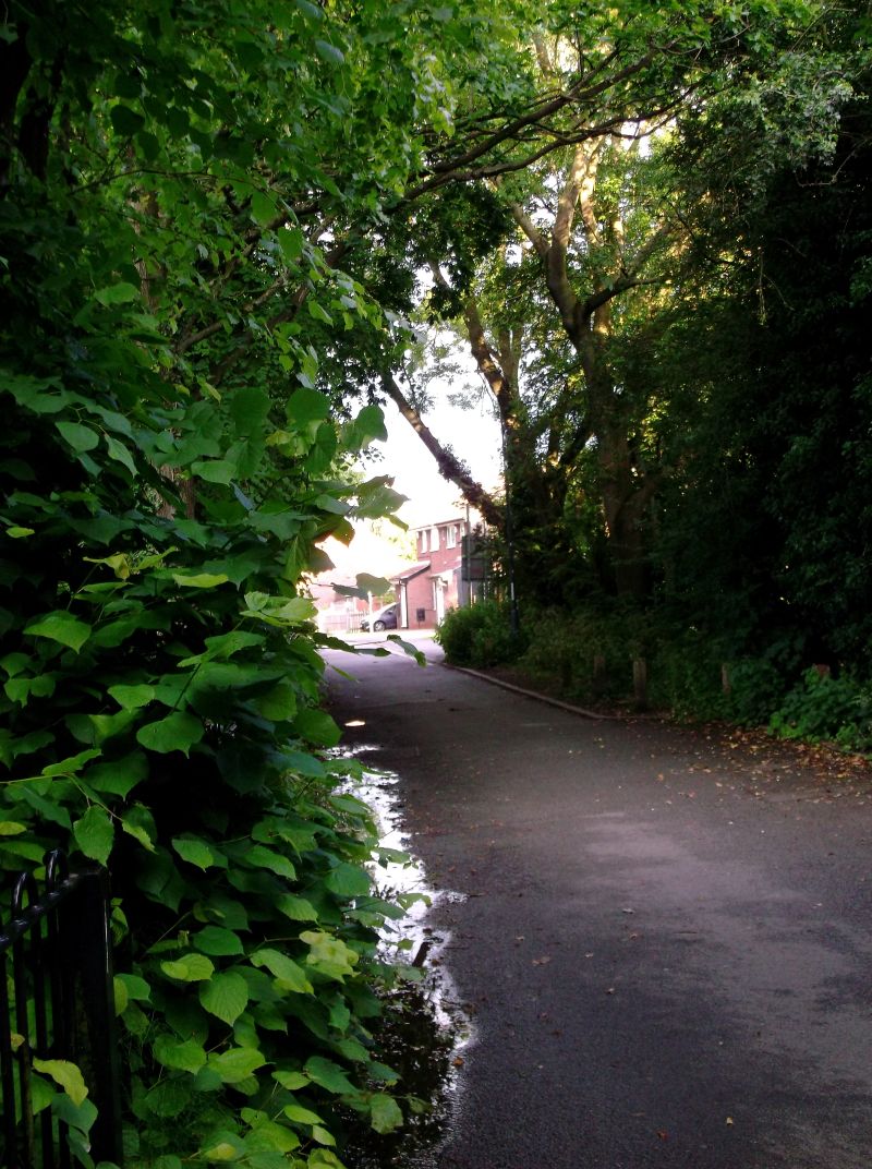 DSCF0553