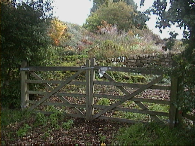DSC00033