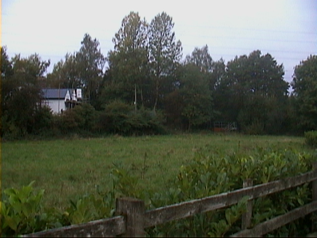 DSC00049