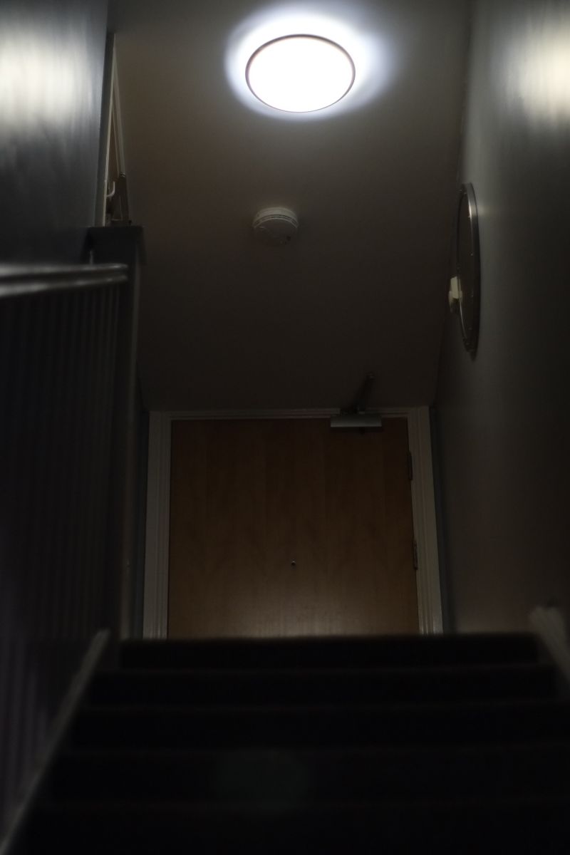 DSCF6809