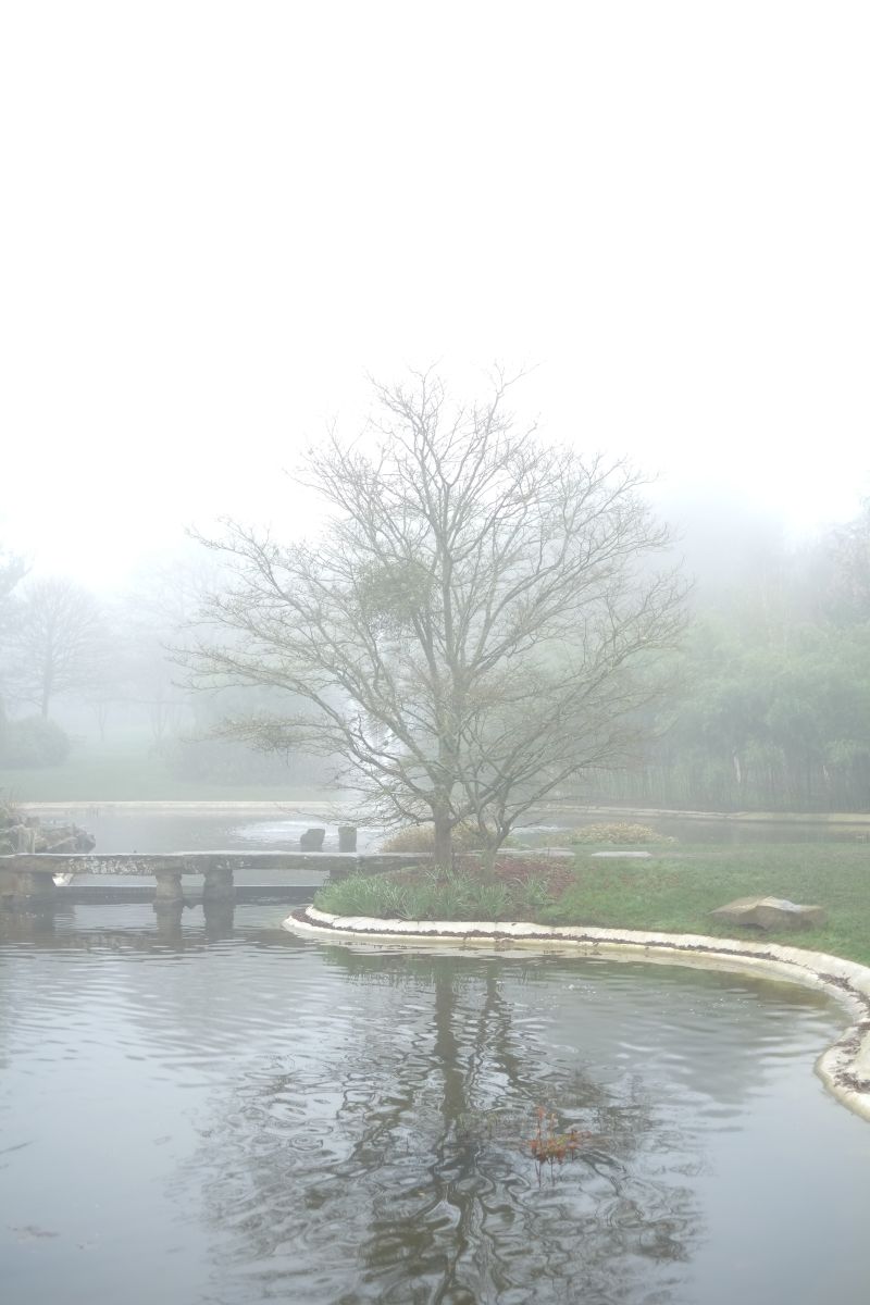 DSCF7201