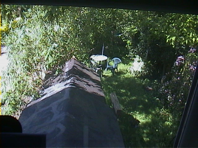 DSC00005