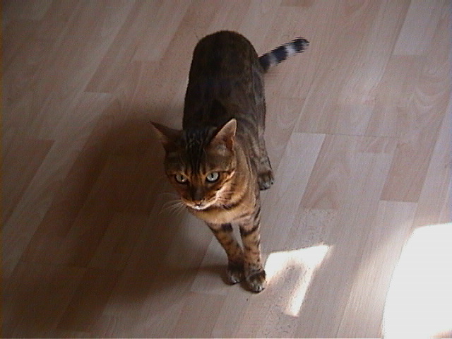 DSC00104