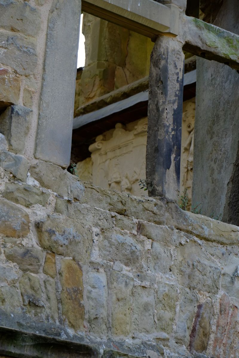 DSCF8557