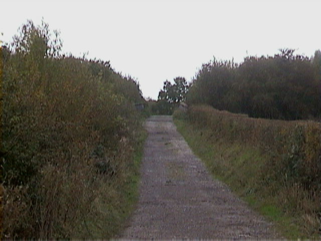 DSC00043