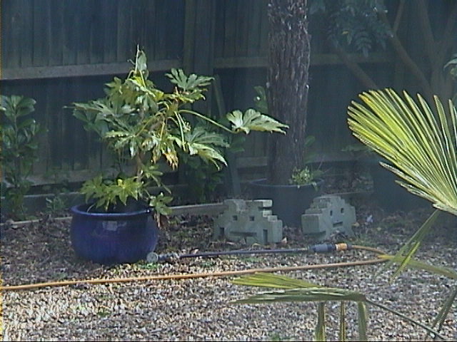 DSC00072