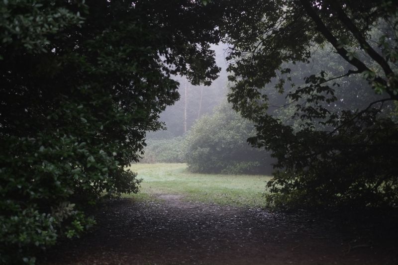 DSCF7332