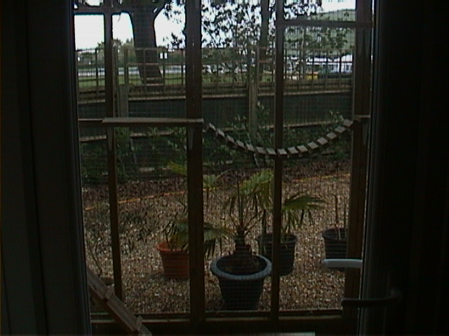 DSC00056